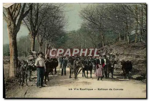 Cartes postales Folklore Vie rustique Retour de corvee Boeufs