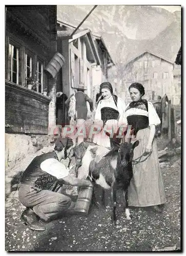 Ansichtskarte AK Chevre Femmes Folklore