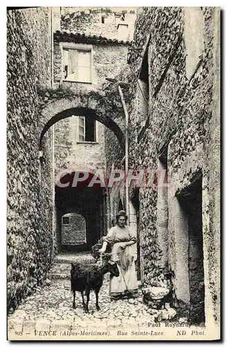 Cartes postales Chevre Vence Rue Sainte Luce