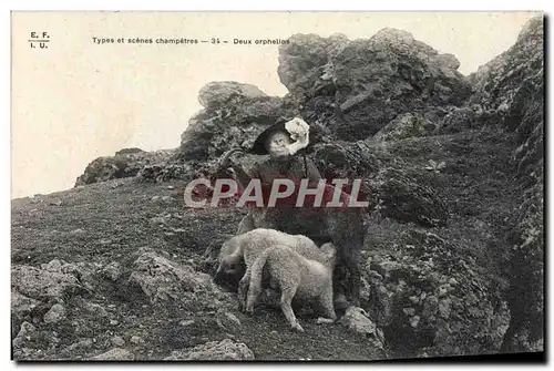 Cartes postales Chevre Deux orphelins Agneau Folklore