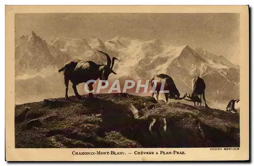 Ansichtskarte AK Chevre Chamonix Mont Blanc Chevres a plan Praz