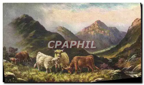 Cartes postales Vaches