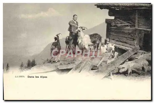 Cartes postales Chevre Dans les Alpes Cochon Porc