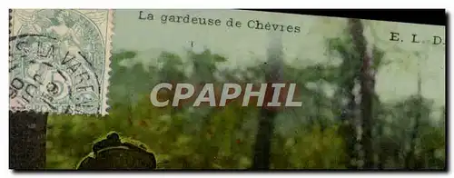 Cartes postales Chevre La gardeuse de chevres Folklore