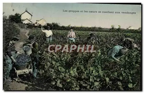 Ansichtskarte AK Folklore Les grappes et les coeurs se cueillent aux vendanges