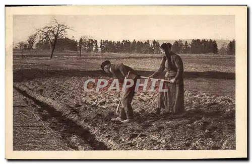 Ansichtskarte AK Folklore Culture dans les champs