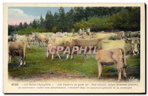 Cartes postales Scenes champetres Une vacherie en plein air Vaches