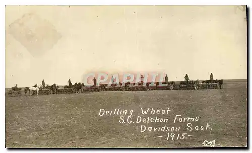 Cartes postales Drilling Wheat SG Detchon Farms Davidson Sask 1915 TOP