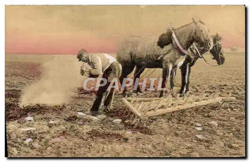 Cartes postales Folklore Hersage Chevaux