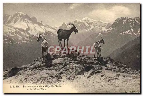 Ansichtskarte AK Chevre Sur les sommets Aiguille verte et le Mont Blanc