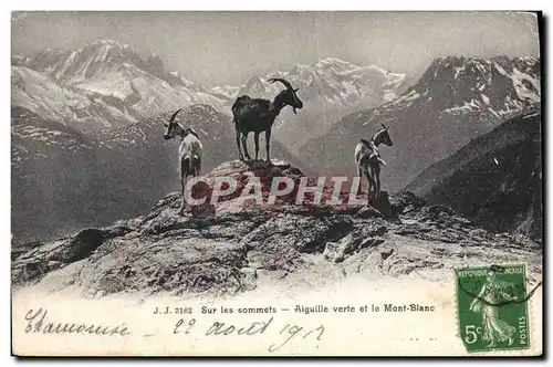 Ansichtskarte AK Chevre Sur les sommets Aiguille verte et le Mont Blanc