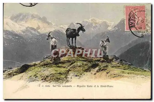 Cartes postales Chevre Sur les sommets Aiguille verte et le Mont Blanc