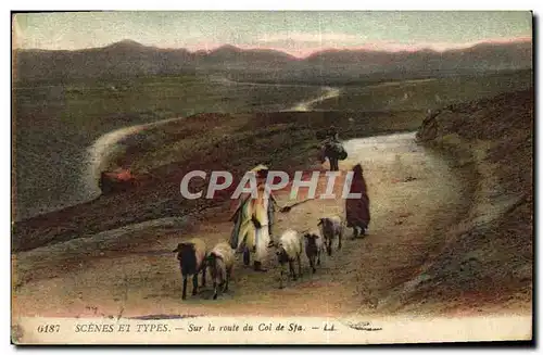 Cartes postales Sur la route du col de Sfa Moutons