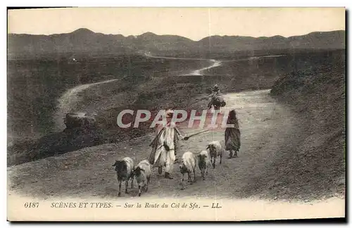 Cartes postales Sur la route du col de Sfa Moutons