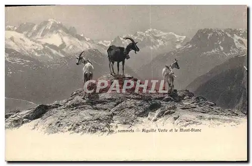 Ansichtskarte AK Chevre Sur les sommets Aiguille verte et le Mont Blanc