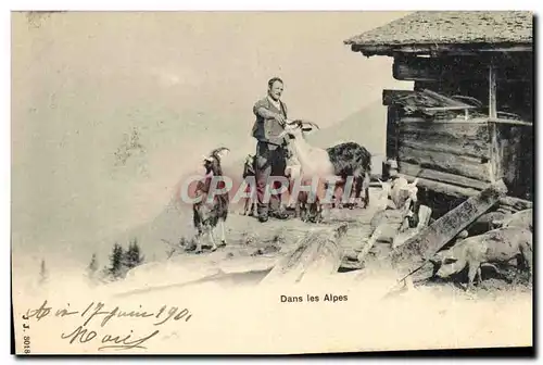 Cartes postales Chevre Dans les Alpes