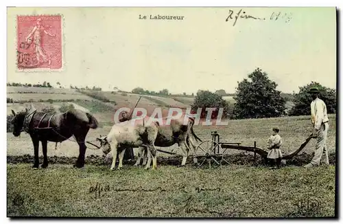 Cartes postales Folklore Le laboureur Attelage