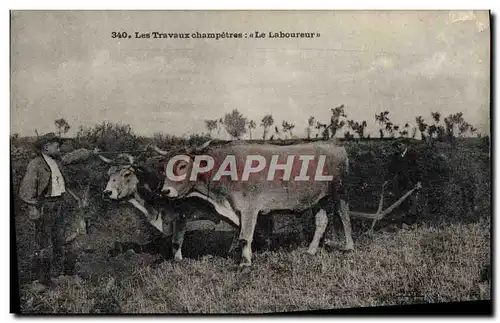 Ansichtskarte AK Folklore les travaux champetres le laboureur