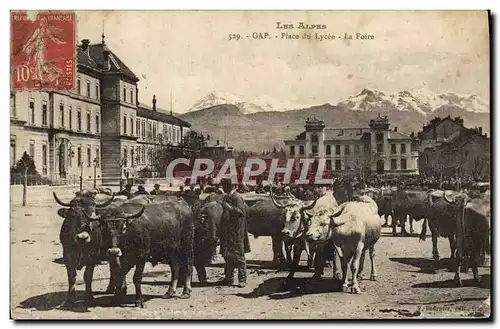 Cartes postales Gap place du Lycee La foire Vaches TOP