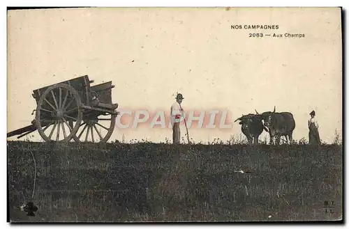 Ansichtskarte AK Folklore Aux champs Boeufs