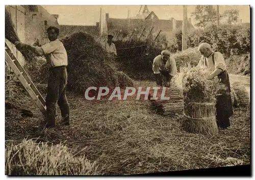 Cartes postales Folklore Normandie Pour la confection et l&#39entretien de nos belles toitures de chaume