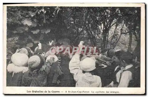 Cartes postales Les orphelins de guerre A St Jean Cap Ferrat La cueillette des oranges Enfants