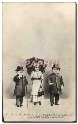 Cartes postales Foklore Nain Les nains bearnais TOP