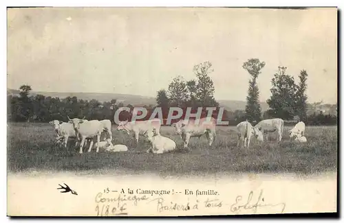 Cartes postales Folklore En famille Vaches