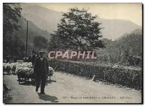 Ansichtskarte AK Folklore Route de Lourdes a Argeles Moutons