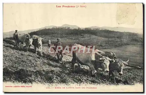 Cartes postales Folklore Pyrenees Scene de labour dans les Pyrenees
