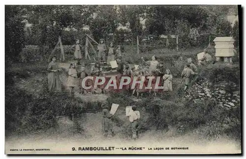 Cartes postales Rambouillet La ruche La lecon de botanique