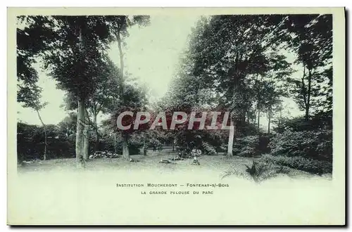 Cartes postales Insitution Moucheront Fontenay sous Bois La grande pelouse du parc