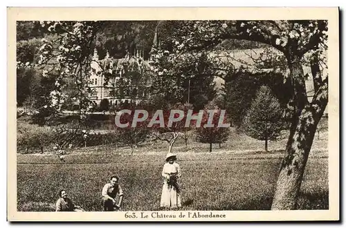 Cartes postales Le chateau de l&#39Abondance