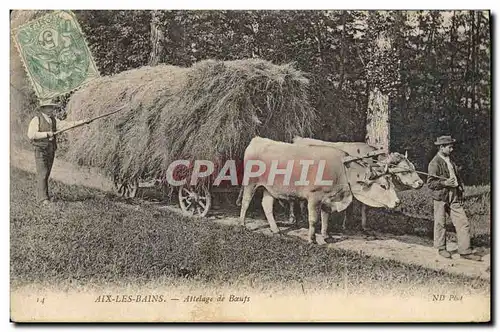 Ansichtskarte AK Folklore Aix les Bains Attelage de Boeufs