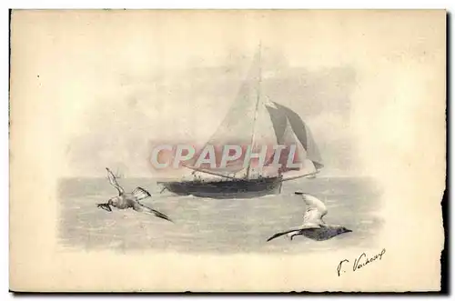 Cartes postales Bateau Peche Mouettes Oiseaux