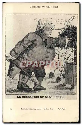 Cartes postales Napoleon 1er Le desespoir de Gros Louis