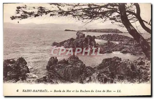 Cartes postales Saint Raphael Bords de Mer et les Rochers du Lion de Mer