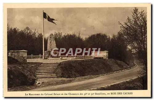 Cartes postales Le monument du colonel et des chasseurs des 56 et 59eme bataillons au Bois des Caures Militaria