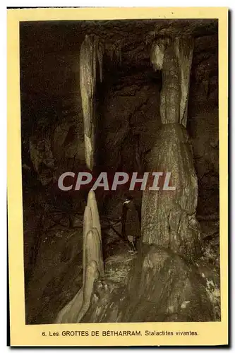 Cartes postales Les Grottes De Betharram Stalactites Vivantes