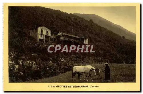Cartes postales Les Grottes De Betharram L'entree Attelage Boeufs