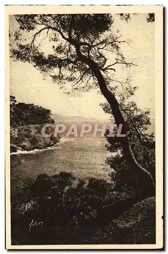 Cartes postales Toulon Vue Sur Le Cap Brun