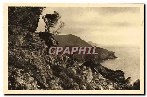 Cartes postales Les Iles d'Hyeres Porquerolles Vue sur la pointe de l'Oustaou de Diou et le grand Seraine