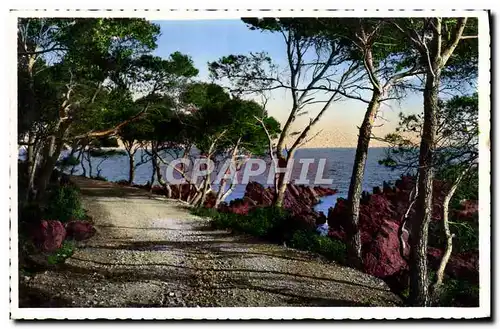 Cartes postales moderne Le Chemin Sous Les Pins