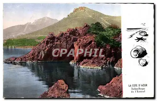 Cartes postales moderne La Cote D'Azur Rochers Rouges de l'Esterel