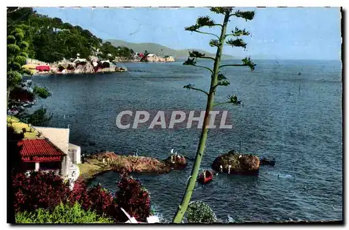 Cartes postales moderne Toulon Vue Sur Le Cap Brun Restaurant Bar