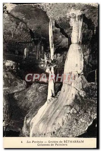 Cartes postales Grottes De Betharram Colonnes De Palmiers