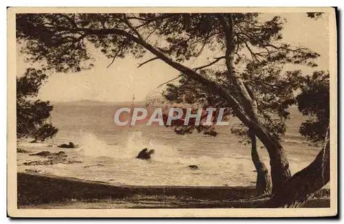 Ansichtskarte AK Carqueiranne Les Salettes La Mer Vue De La Pinede