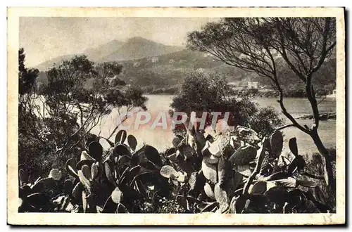 Cartes postales La Corniche d'Or vers le Trayas