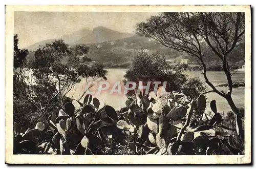 Cartes postales La Corniche d'or vers le Trayas