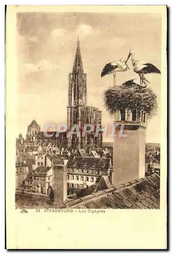 Cartes postales Strasbourg Les Cigognes